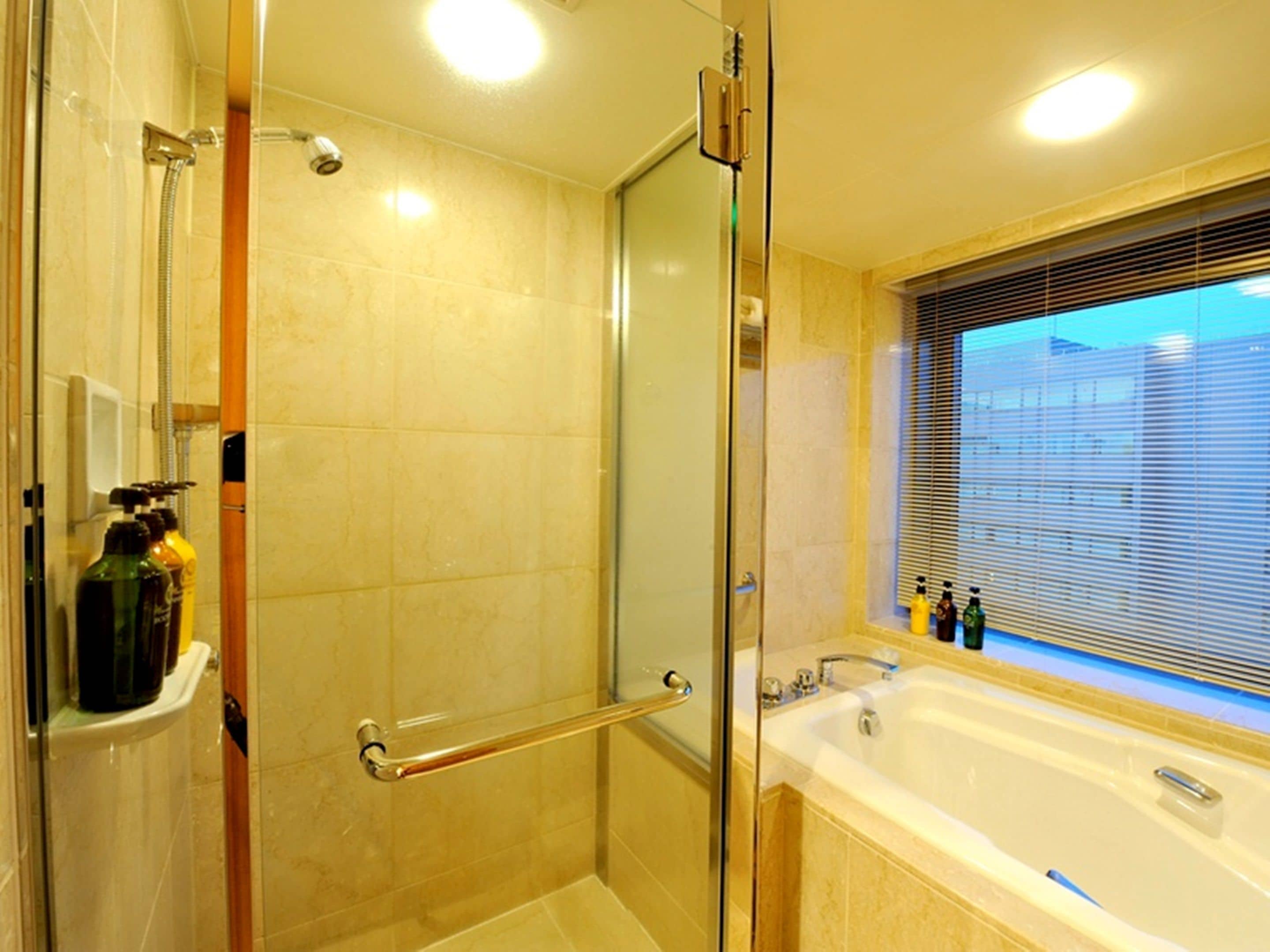 deluxe twin room, non smoking | bathroom amenities | combined shower/bathtub, deep-soaking bathtub, free toiletries