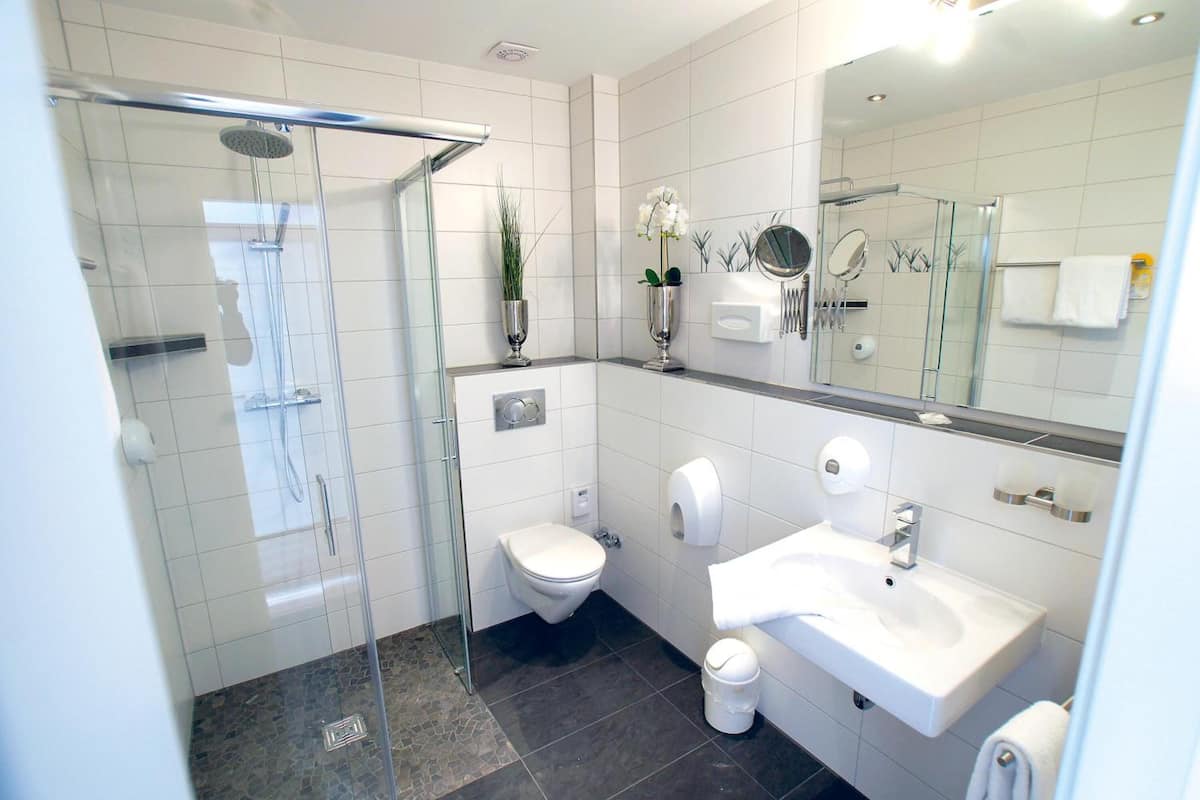 hair dryer, towels, soap, shampoo