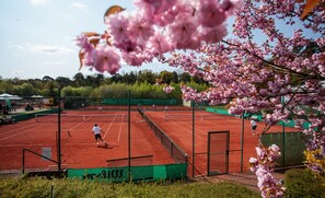 Tennis court