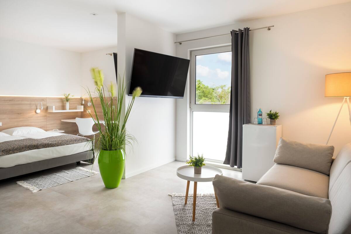A modern hotel room with a bed, a green plant, a sofa, a TV, and a window with curtains.