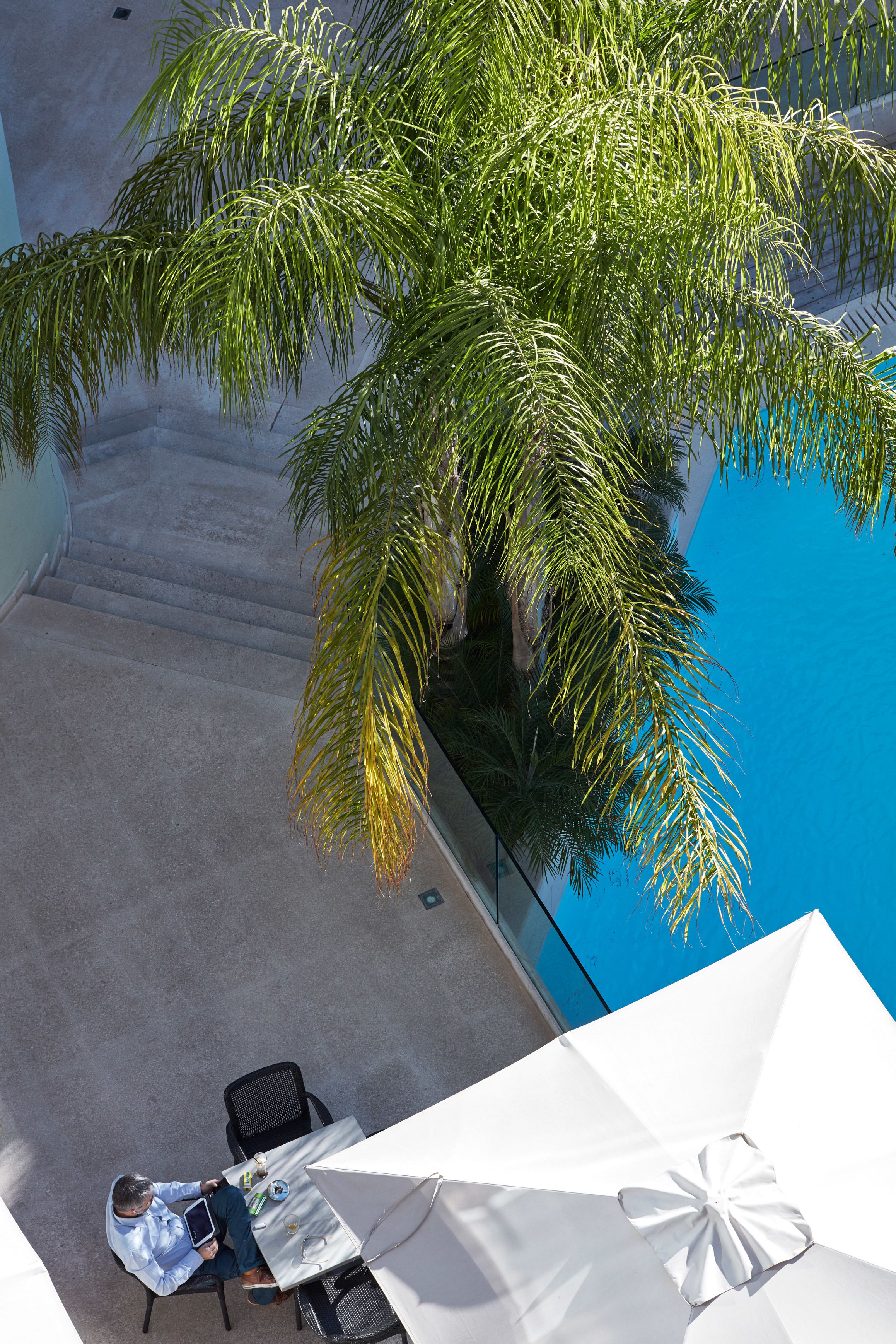 A poolside area with a palm tree, a white umbrella, and a table with chairs.