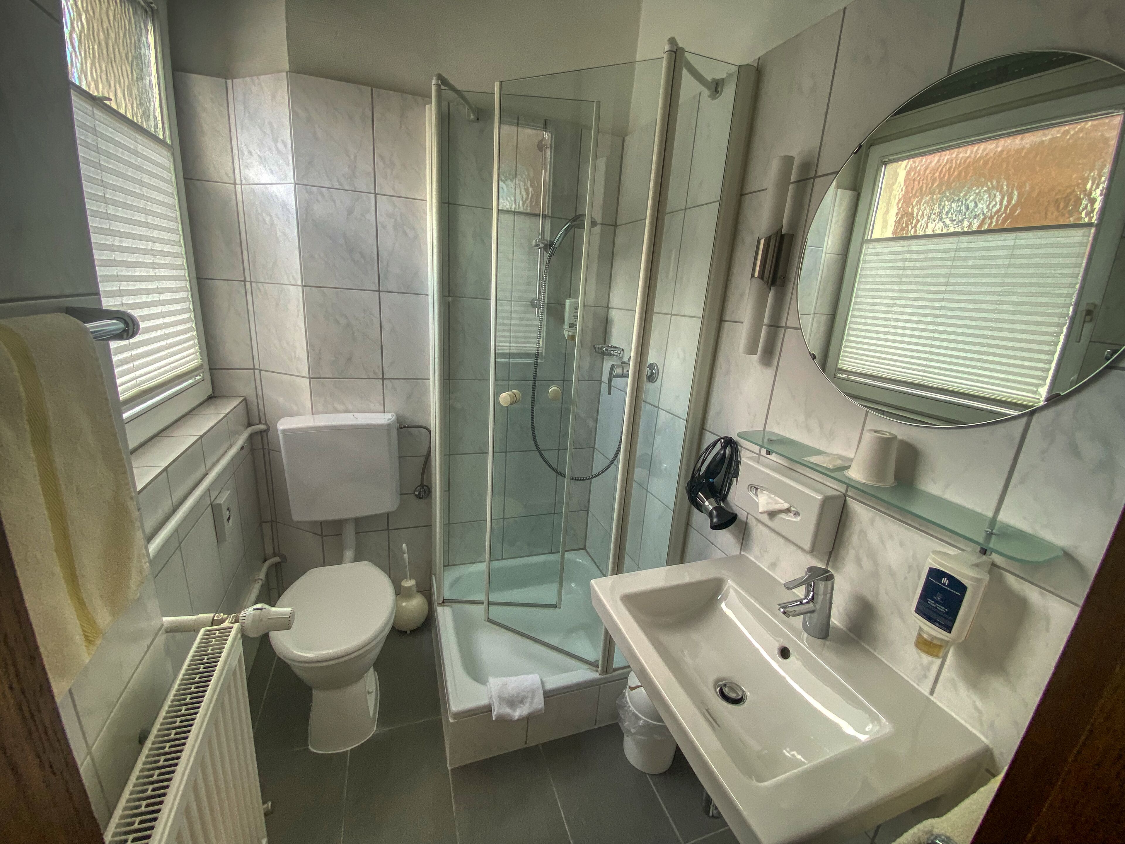 A modern bathroom with a glass-enclosed shower, a toilet, a sink, and a mirror.