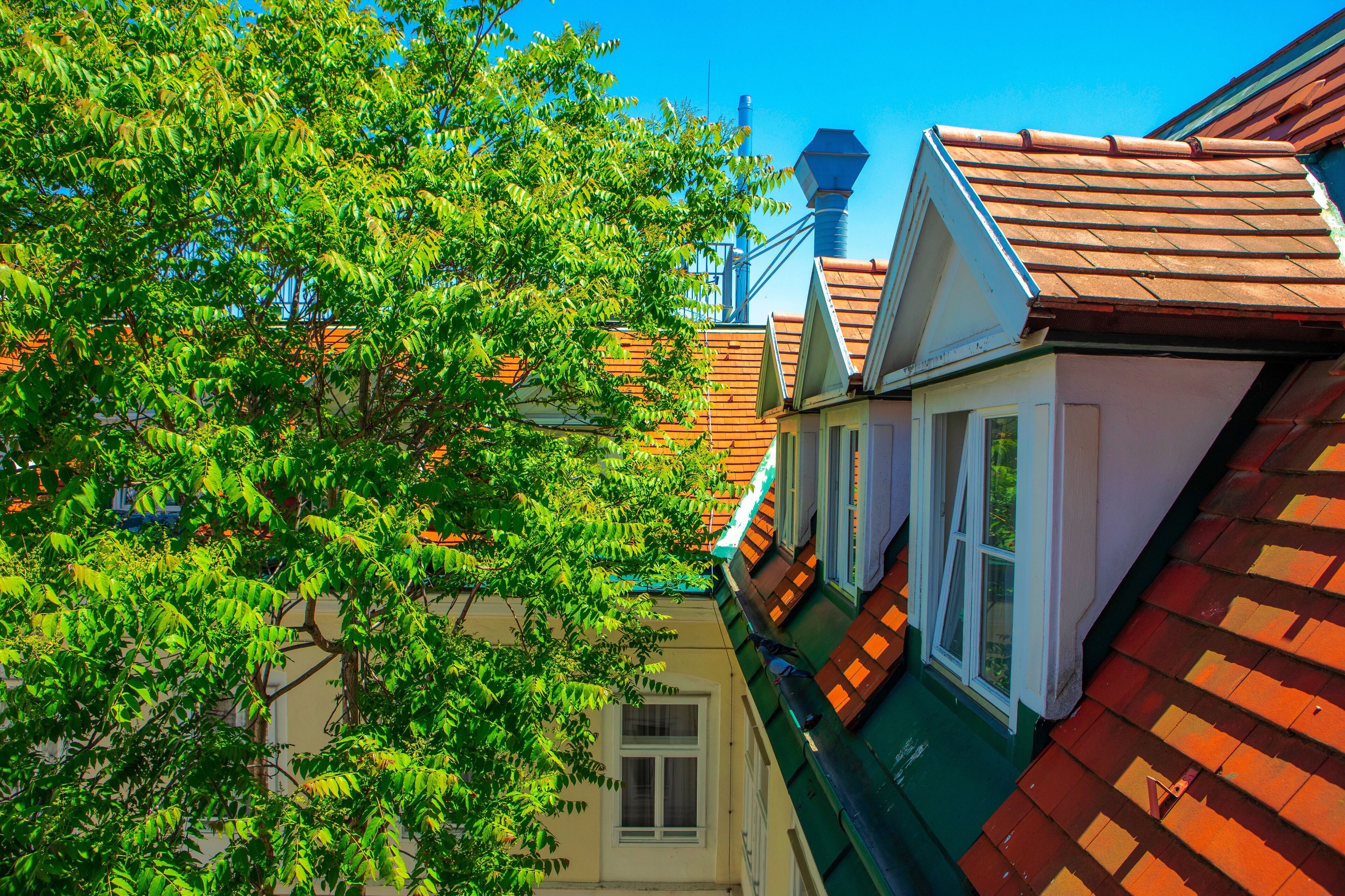 Photo - The Levante Rathaus Apartments