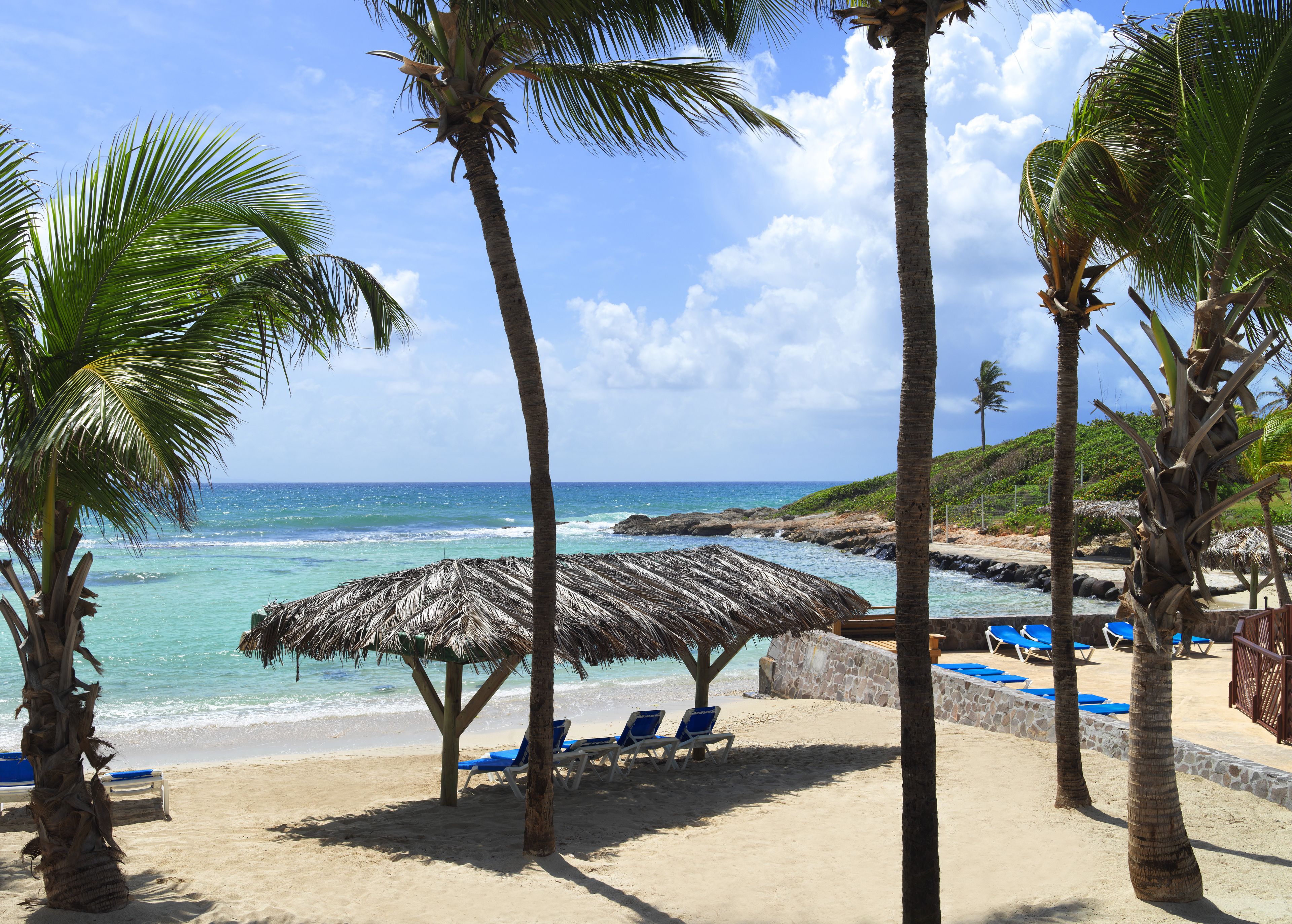 En la playa, playa de arena blanca, camastros y bar en la playa 
