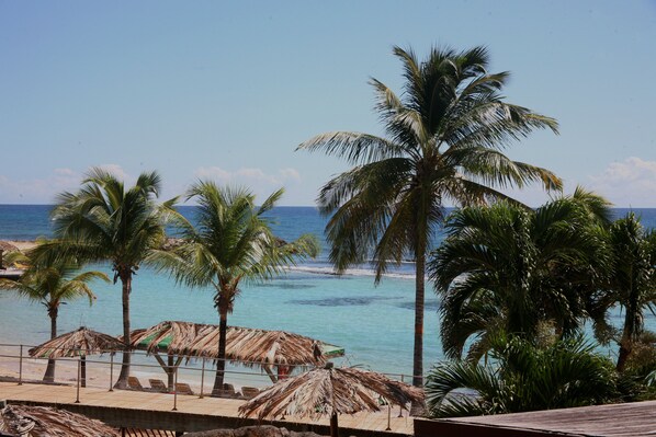 Servicio de la propiedad