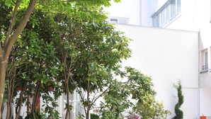 A garden with various plants and a bench. - Arthotel Munich (Munich)