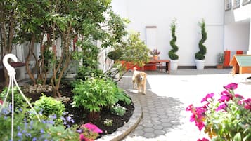 Garden view