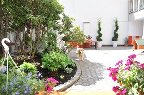 Vistas al jardín