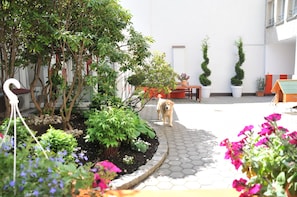 Garden view