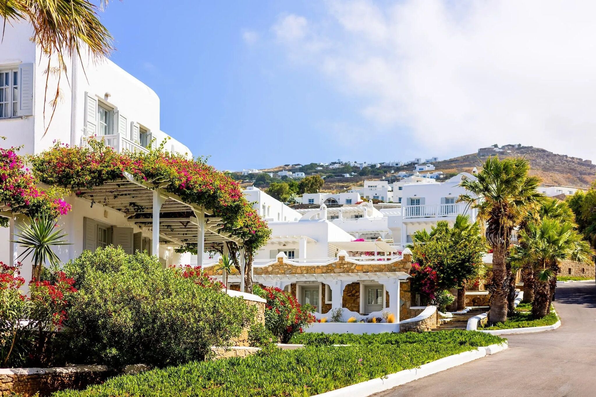 Un edificio blanco con fachada de piedra, un espacio exterior cubierto con plantas y vistas a una colina con más edificios.
