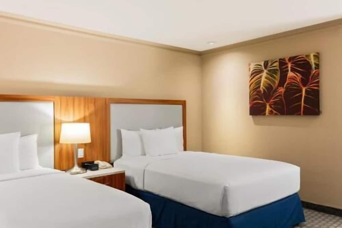 高級寢具、Select Comfort 床墊、客房內保險箱、書桌