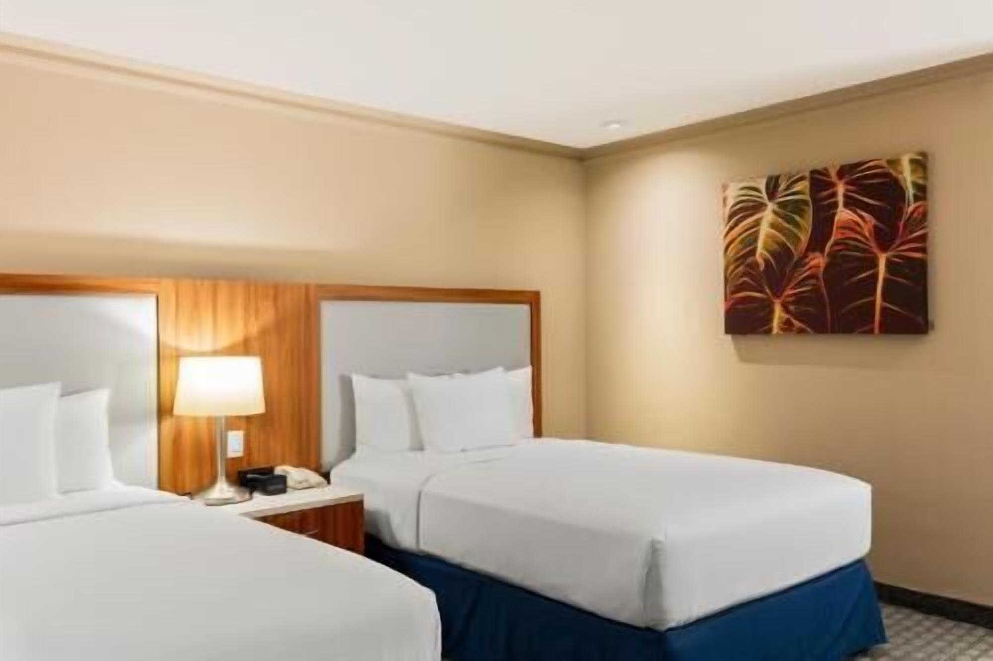 Premium bedding, Select Comfort beds, in-room safe, desk