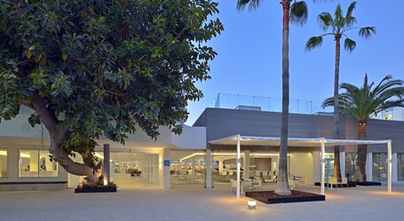 Sol House The Studio - Calviá Beach- Adults only - view 3