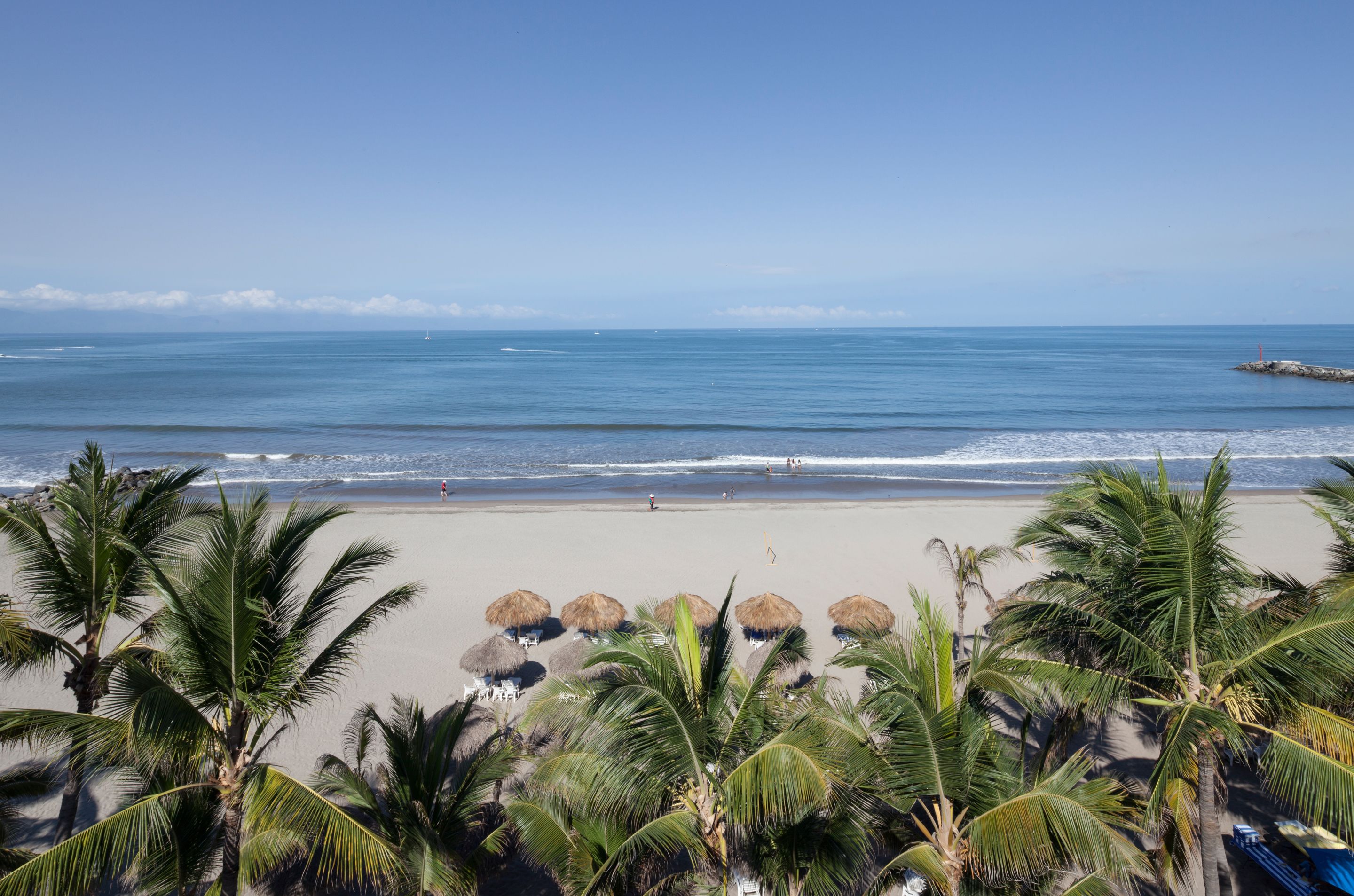 A beach with palm trees, a sandy shore, and the ocean.