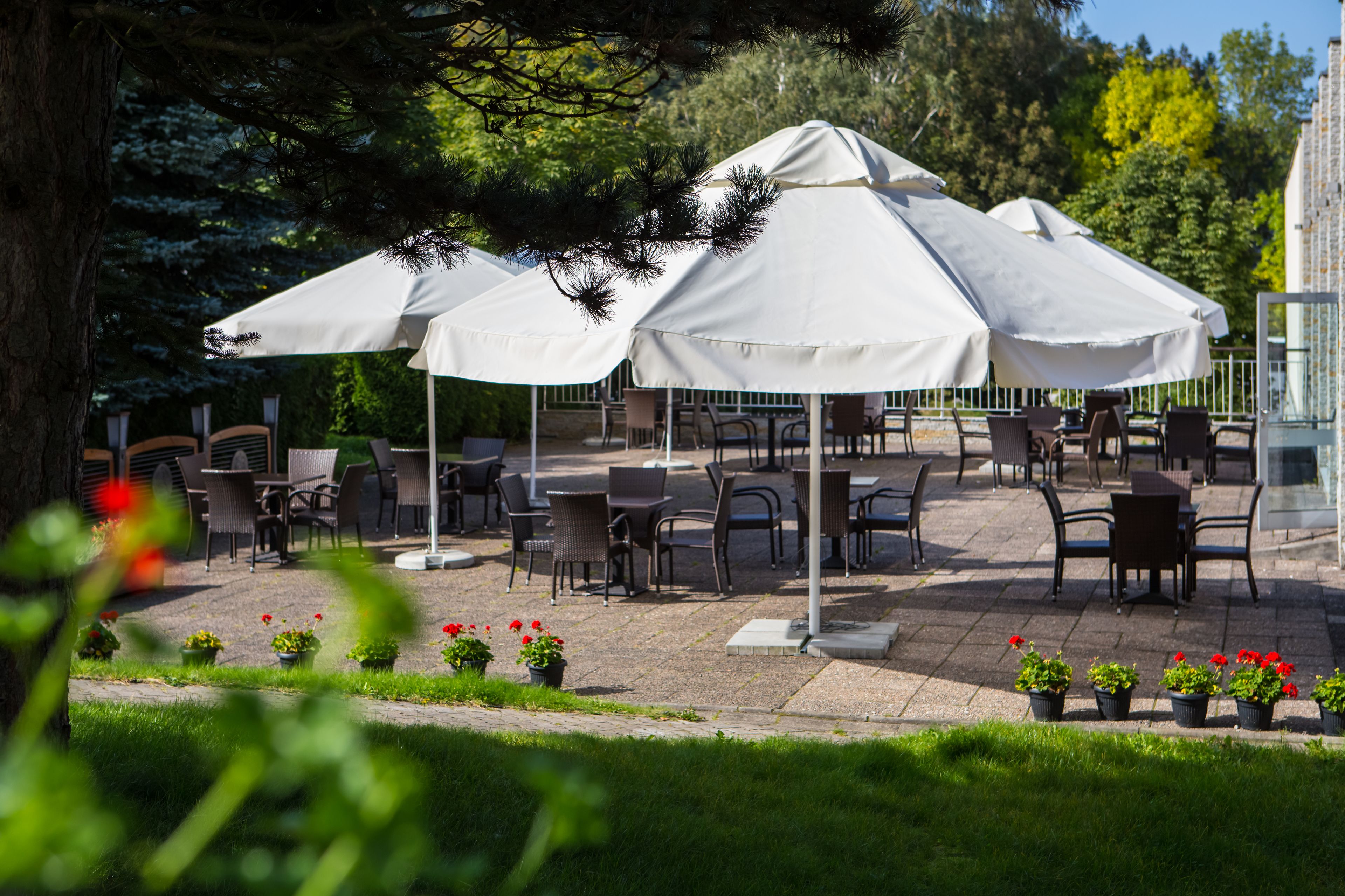 breakfast, lunch and dinner served