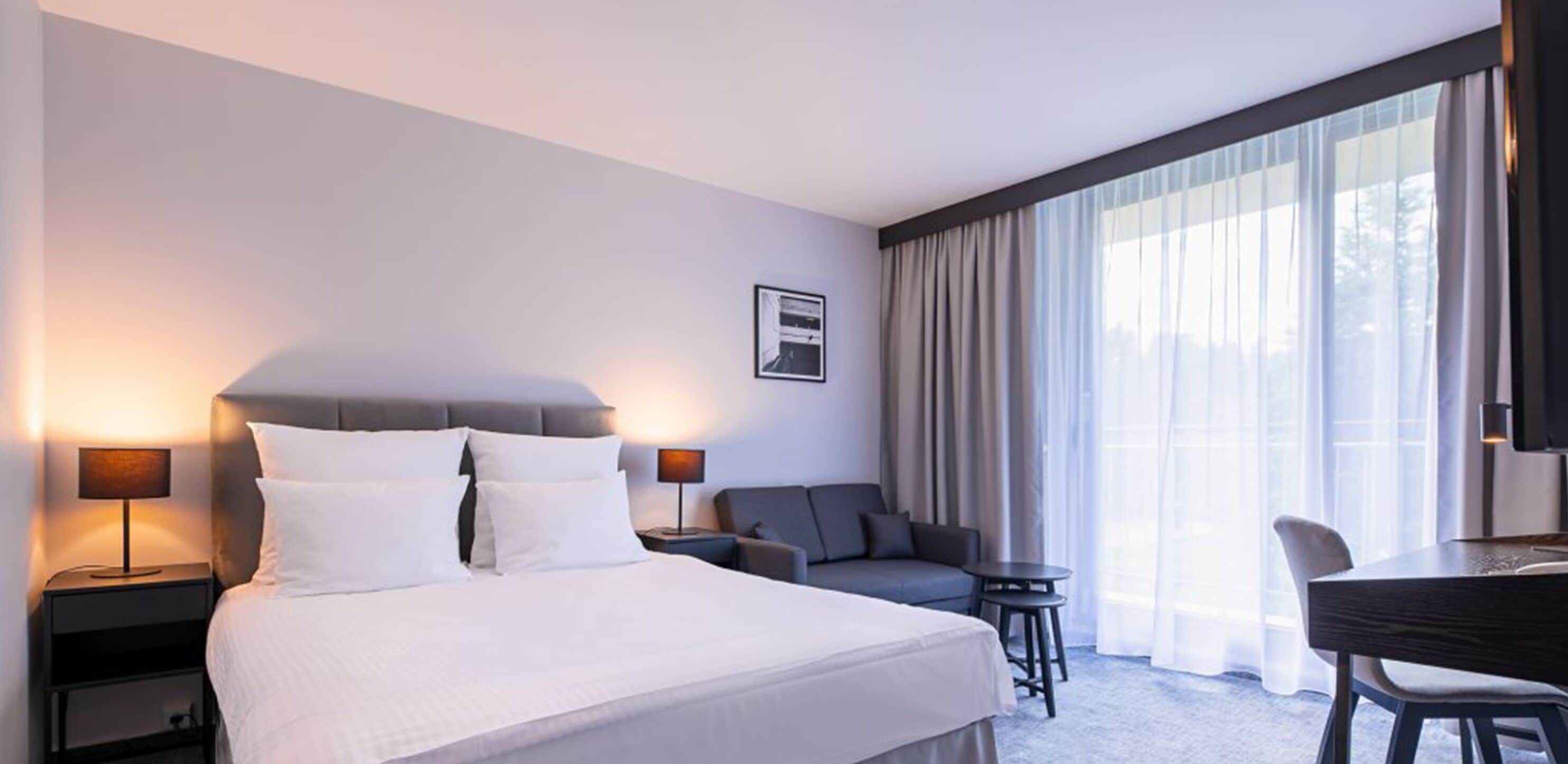 standard room, 1 queen bed with sofa bed | hypo-allergenic bedding, in-room safe, desk, iron/ironing board