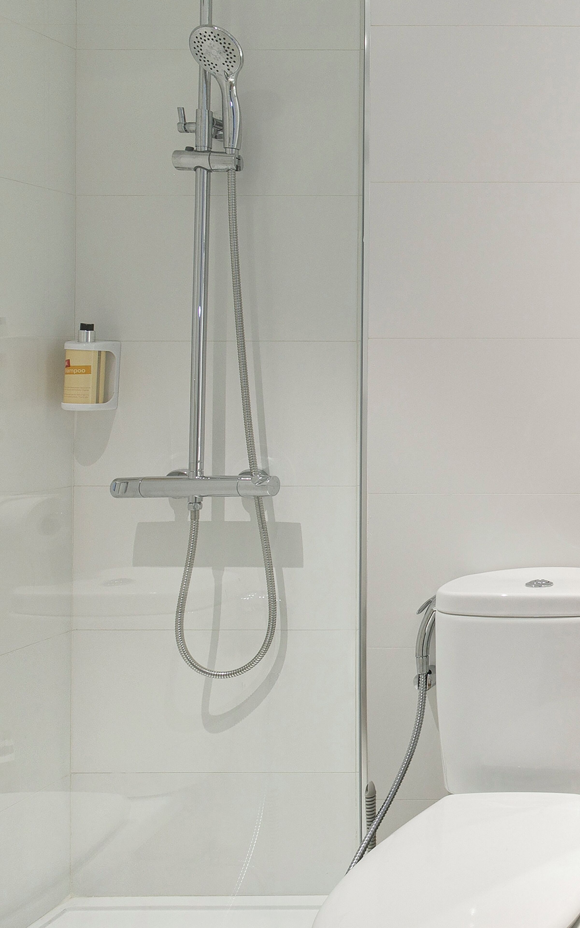 A modern bathroom with a glass-enclosed shower, a white toilet, and a shampoo bottle on a shelf.
