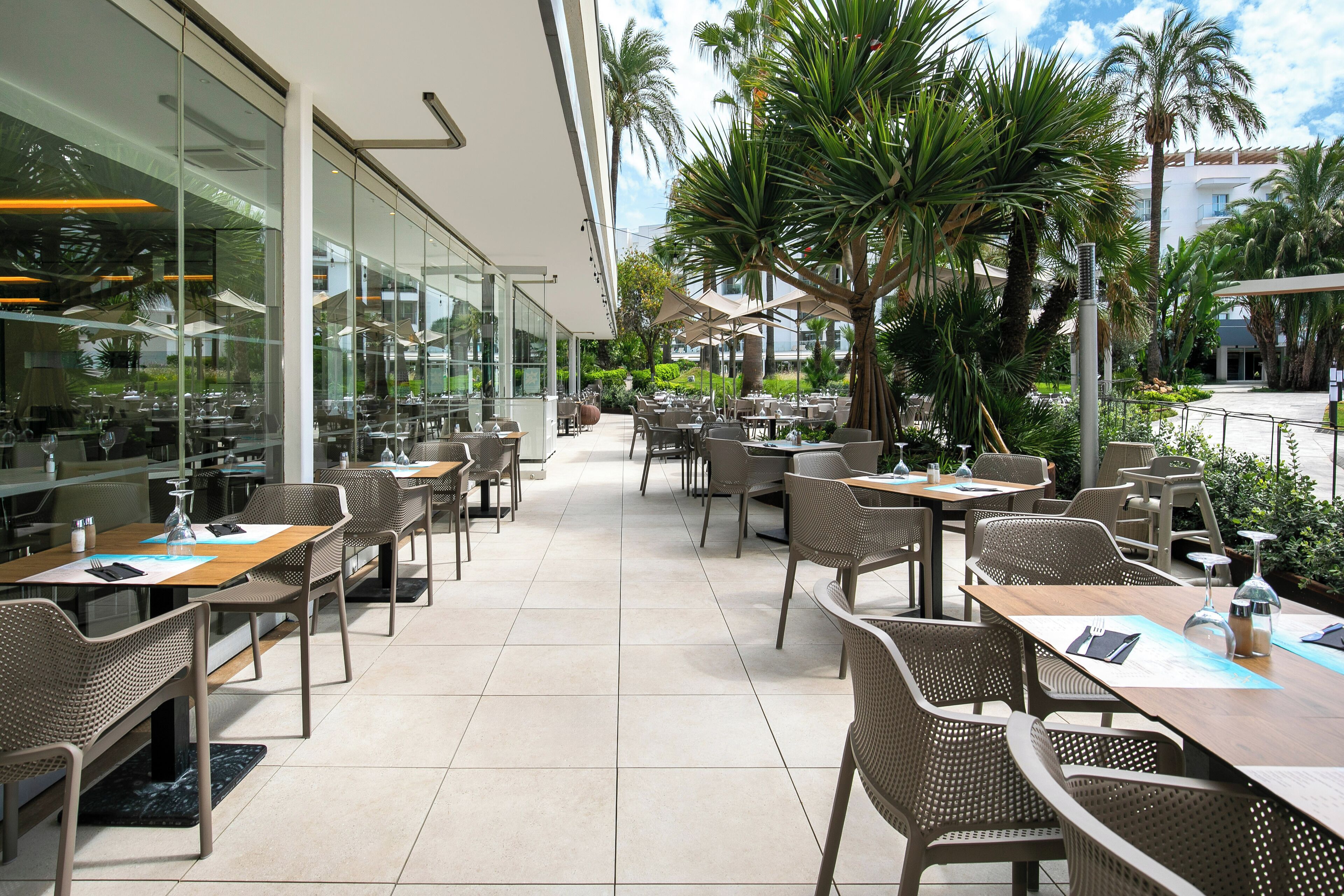 Un área de comedor al aire libre con mesas y sillas, rodeada por paredes de vidrio y palmeras.