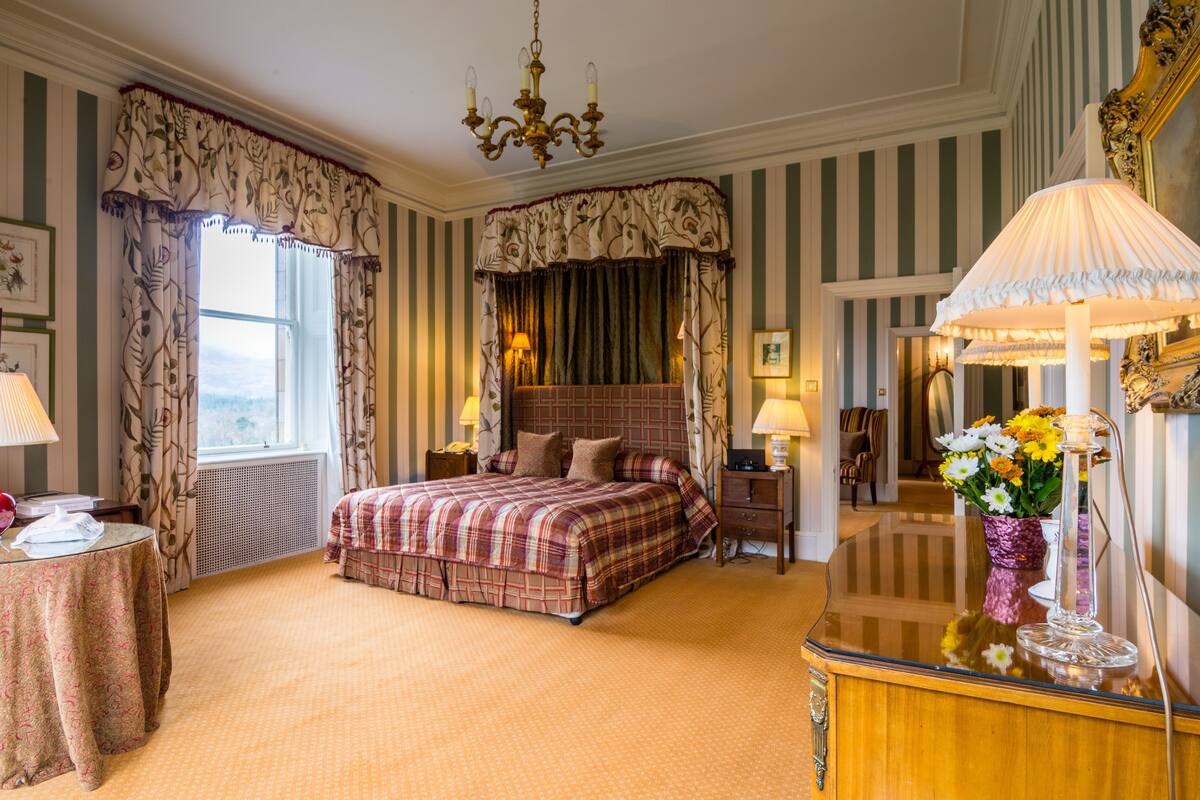 luxury suite, 1 king bed | egyptian cotton sheets, premium bedding, down duvets