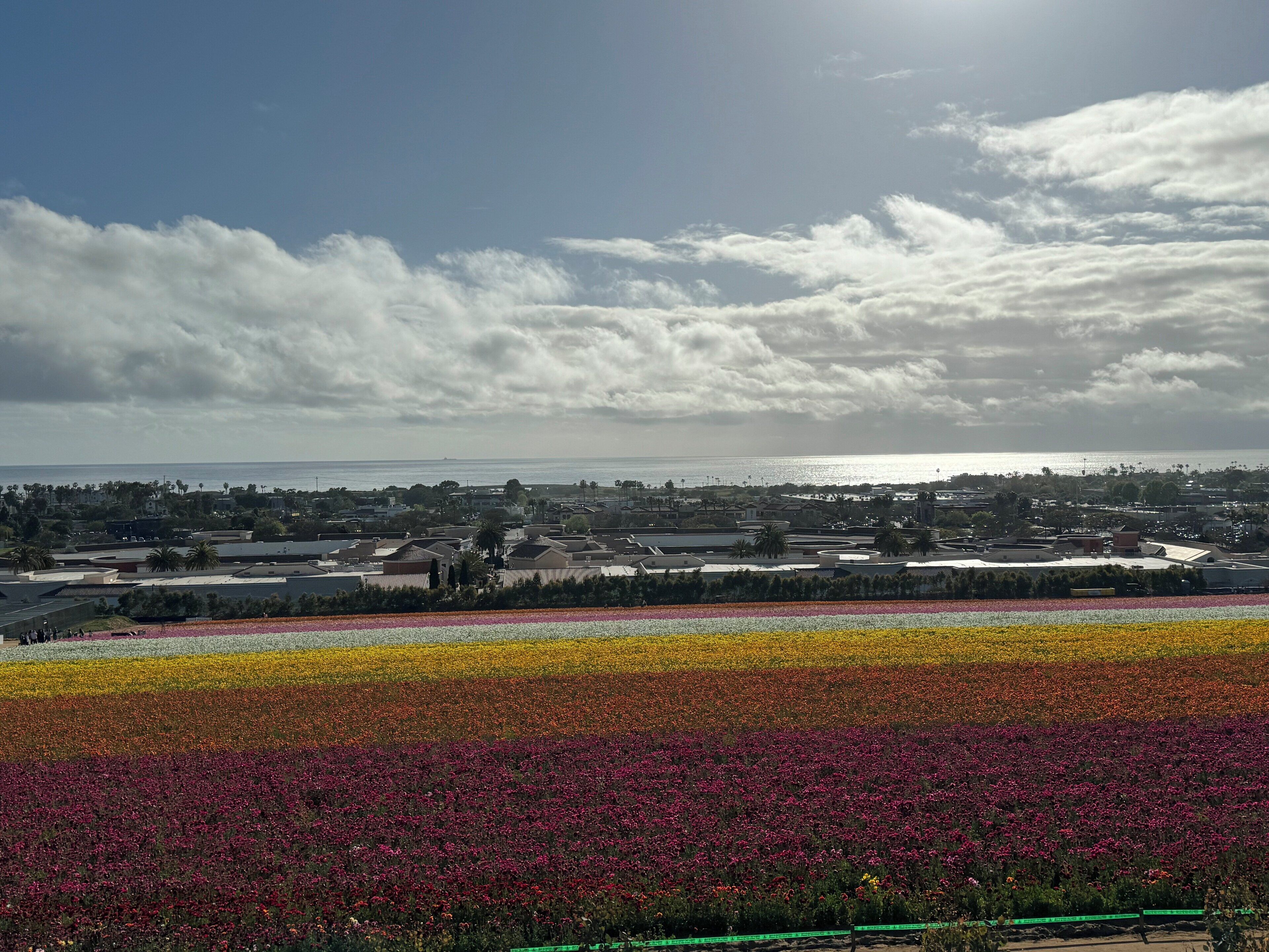 Foto - Holiday Inn Express Hotel & Suites Carlsbad Beach by IHG