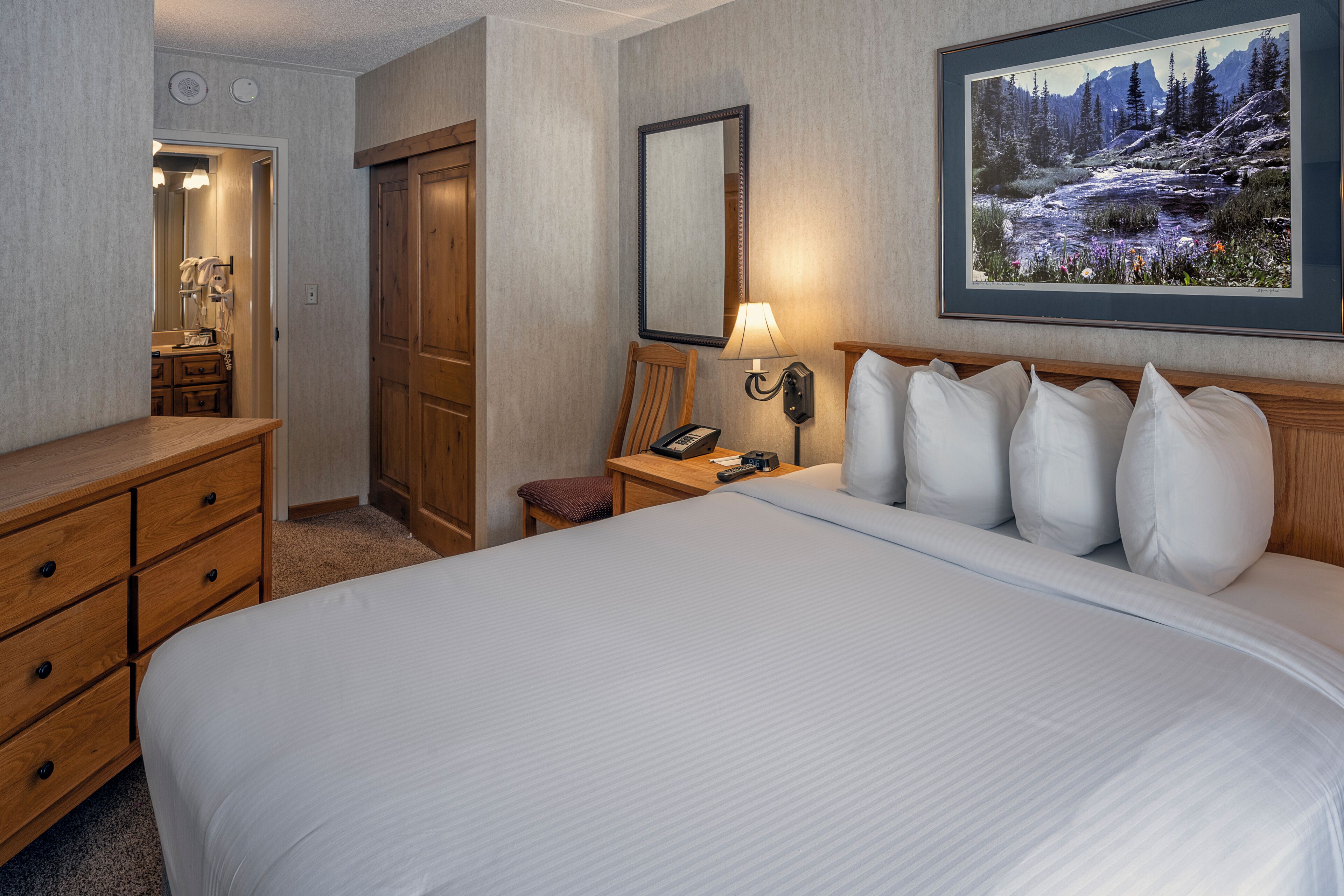 suite, 1 bedroom, mountainside | individually furnished, laptop workspace, iron/ironing board