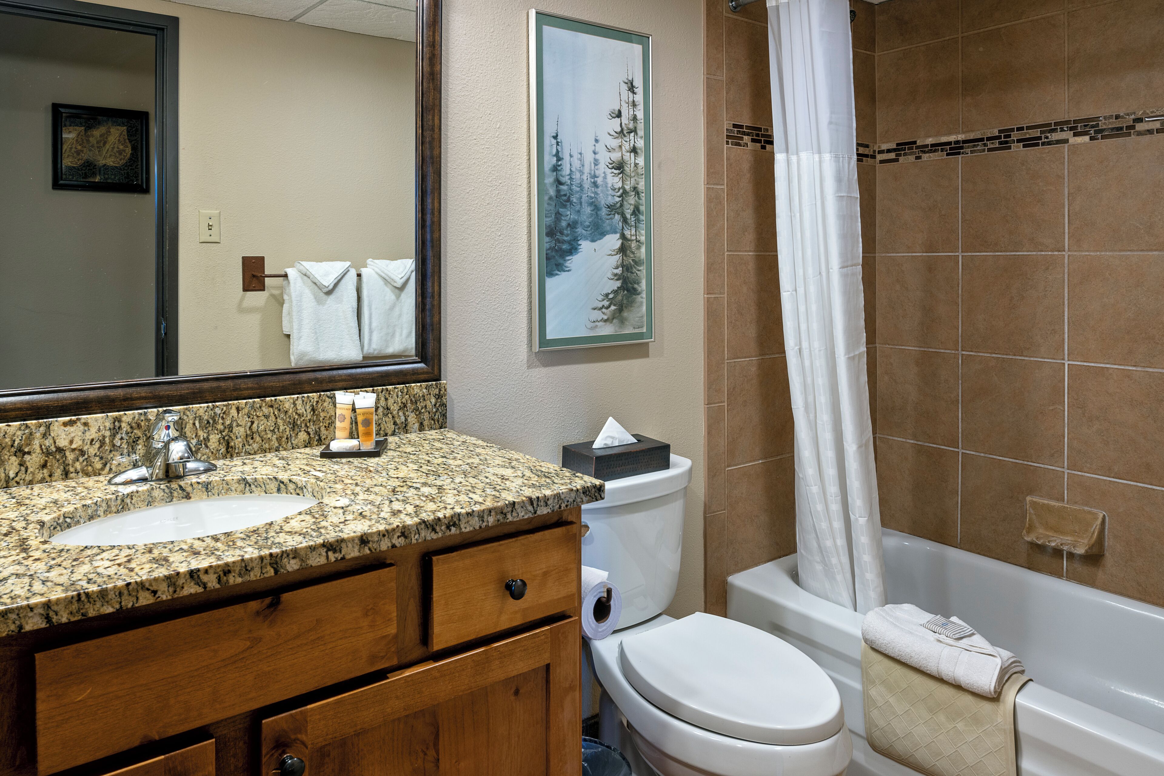Une salle de bain avec un lavabo sur un plan de travail en granit, un meuble en bois, des toilettes et une baignoire.