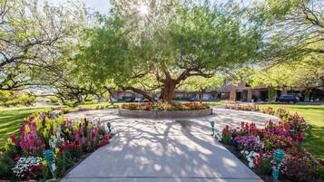 A tree-lined pathway with a circular flower bed and a bench.