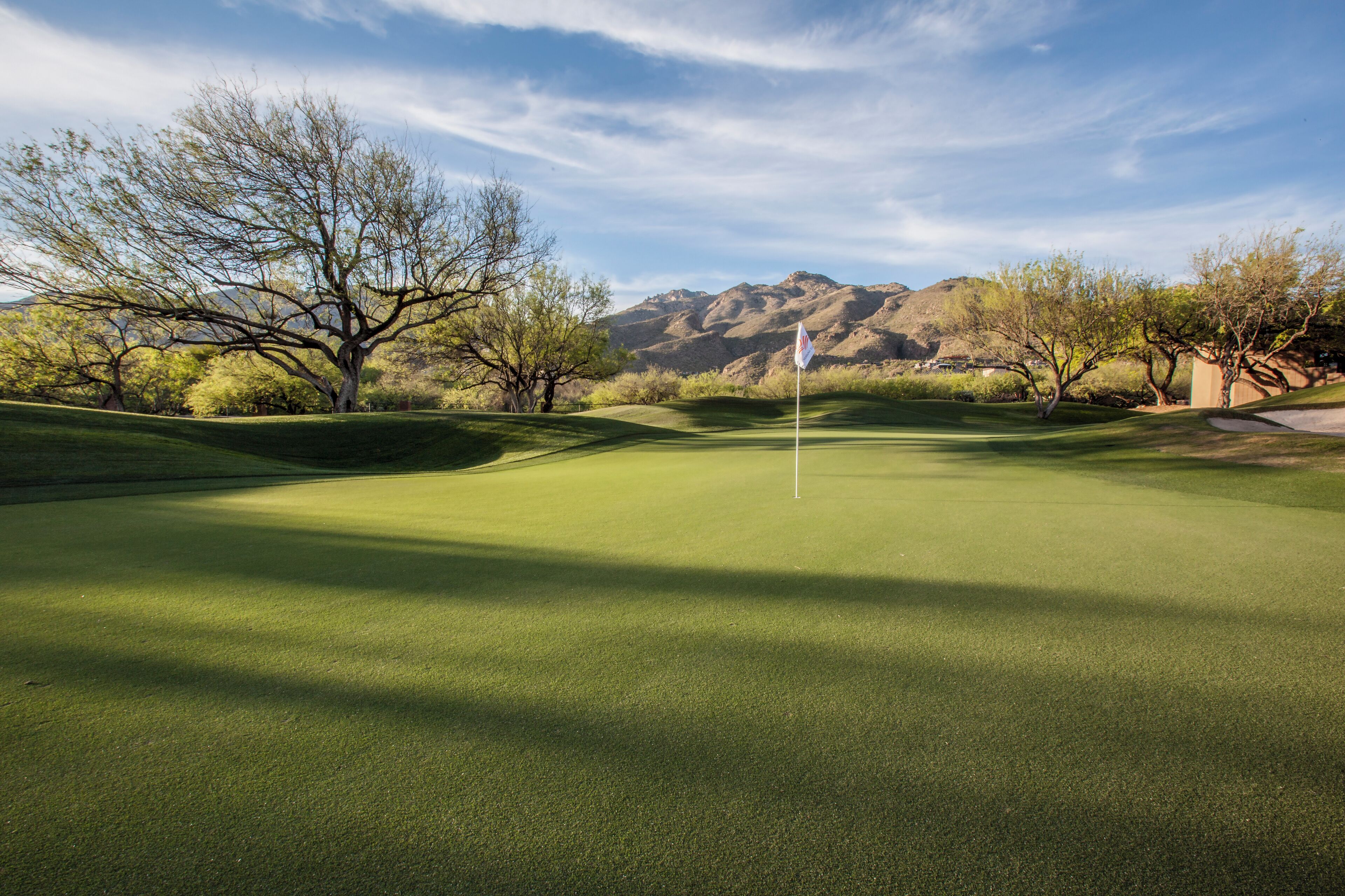 A golf course with a flagstick in the center, surrounded by trees and mountains in the background.