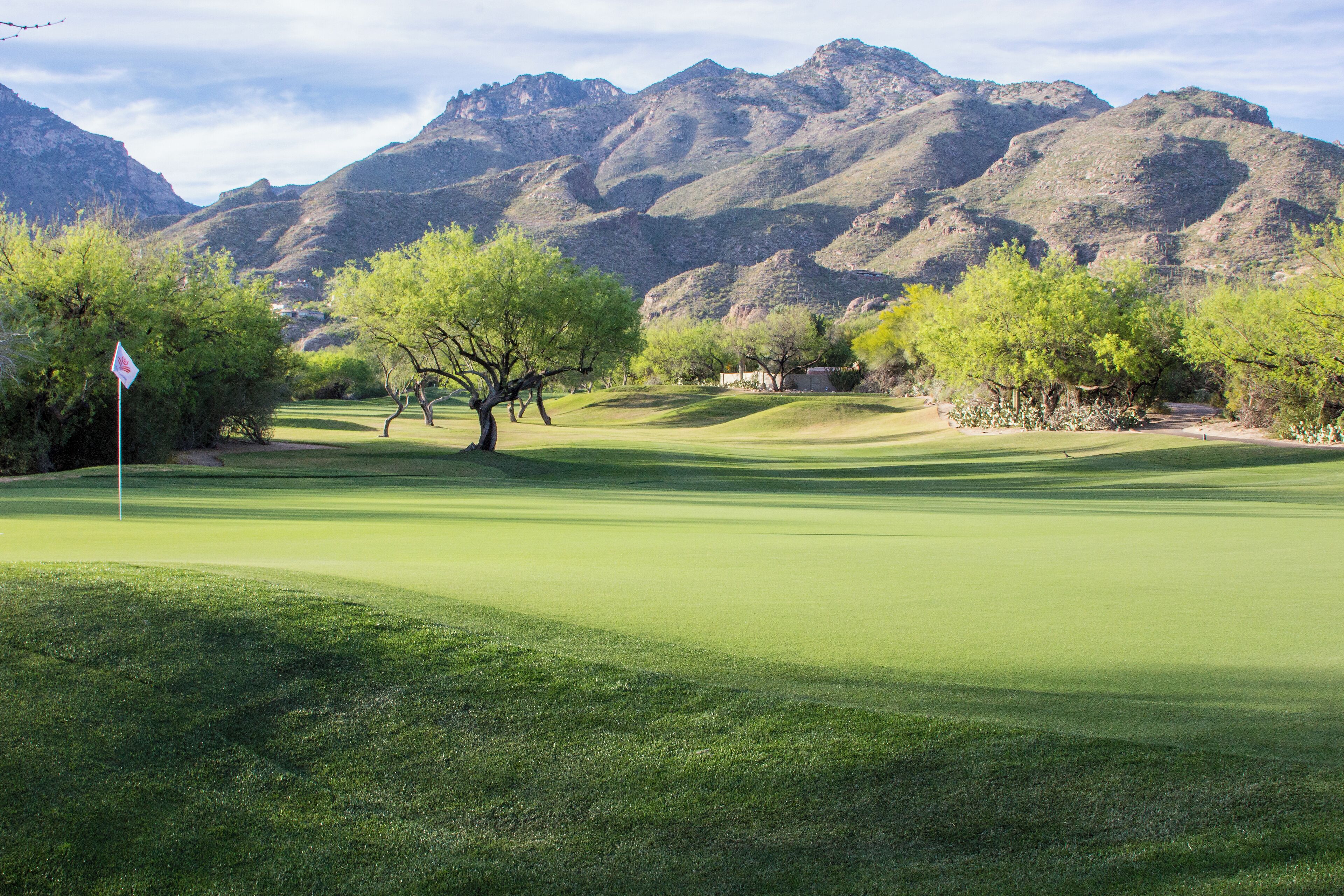 A golf course with a flagstick, trees, and mountains in the background.