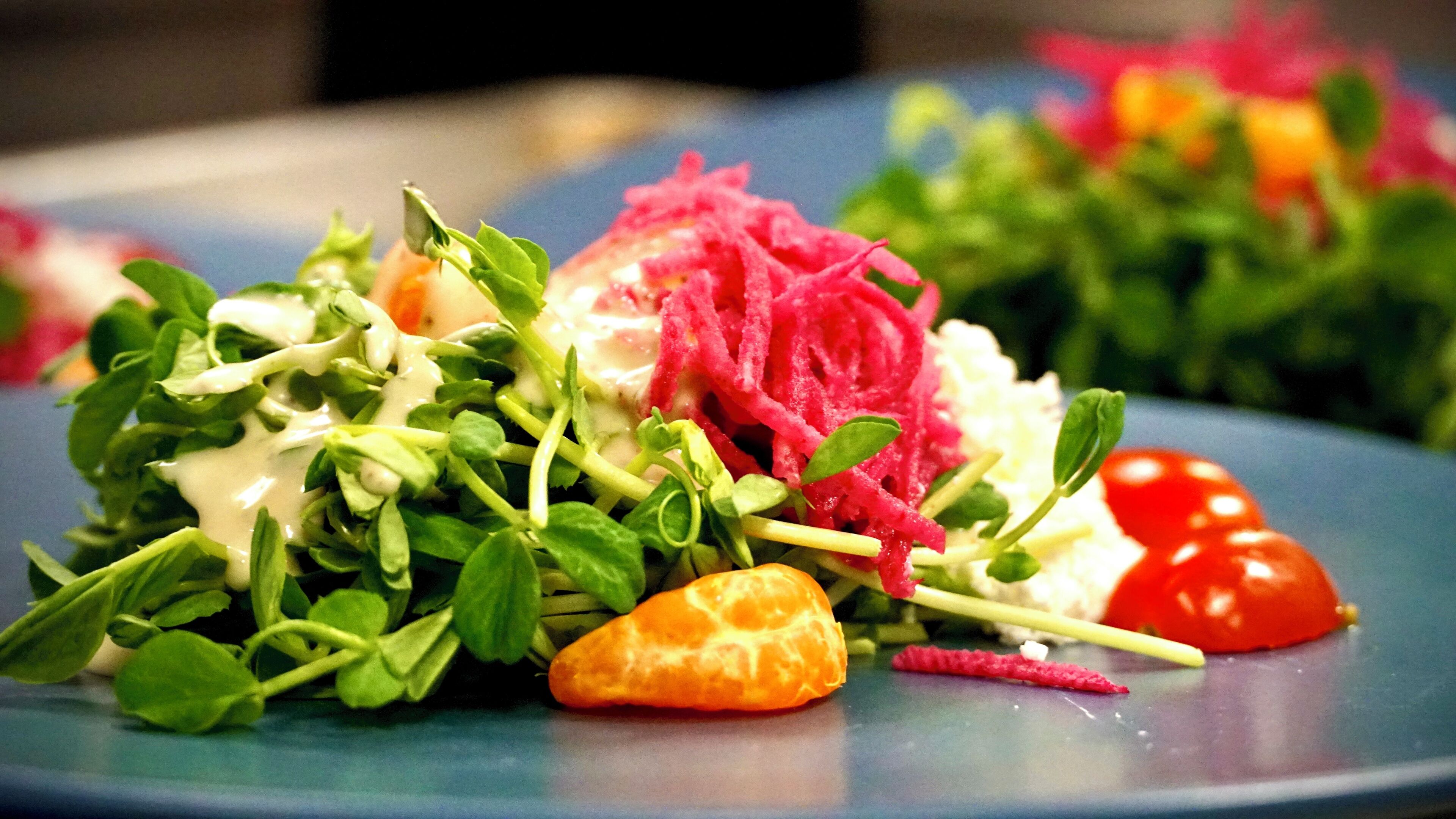 A plate of mixed greens, radicchio, and cherry tomatoes.