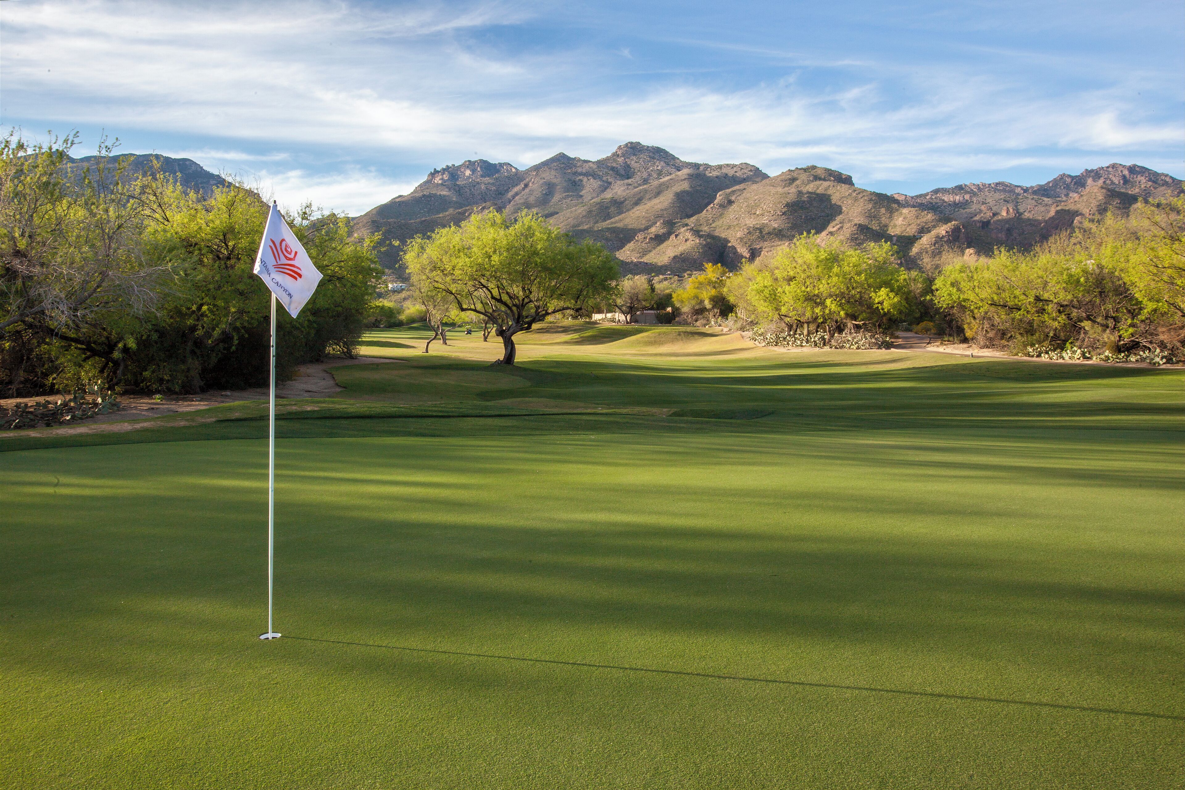 Un campo de golf con una bandera, árboles y montañas al fondo.