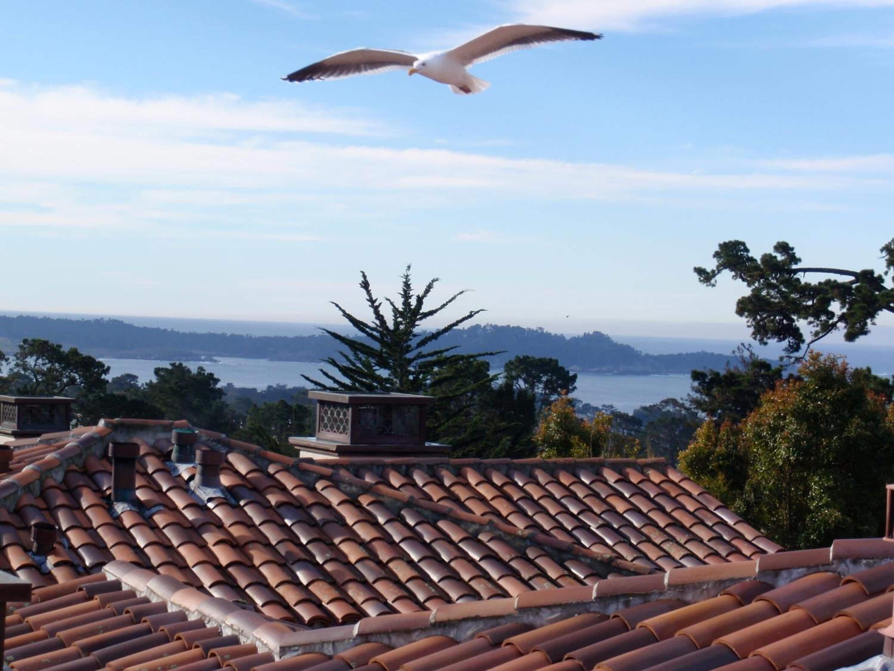 A rooftop with terracotta tiles, a bird flying overhead, and a view of a body of water and distant hills.