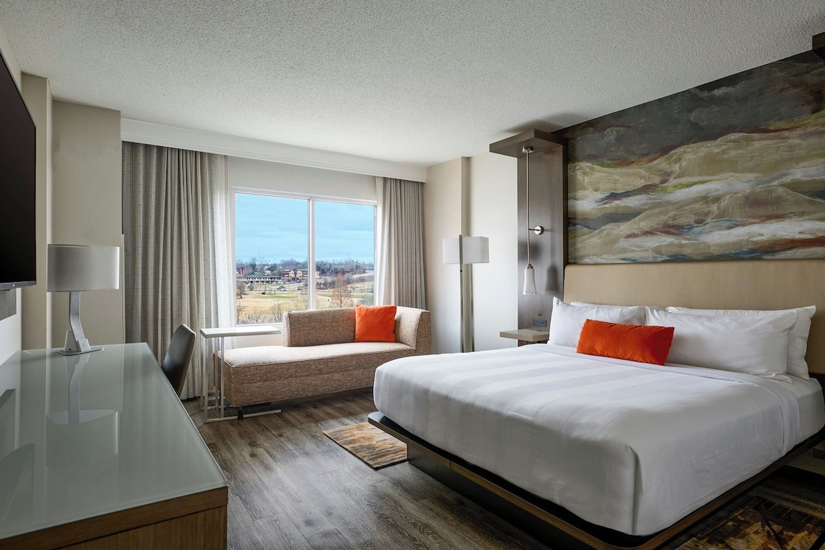 Room, 1 King Bed