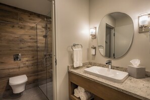 A bathroom with a shower, toilet, sink, mirror, towel rack, and a tissue box. - Boyne Mountain Resort (Boyne Falls)