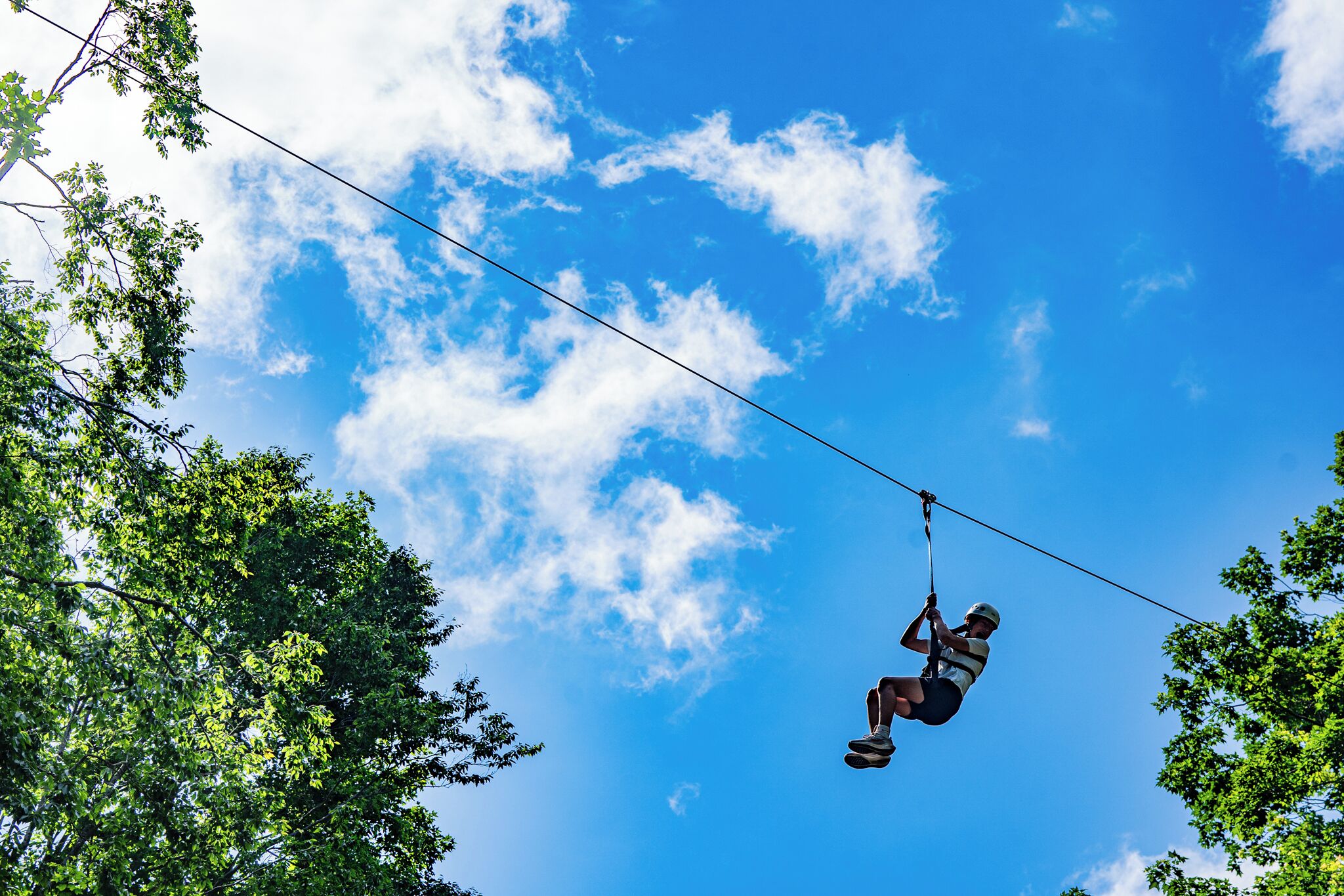 A person zip-lining through a clear blue sky with trees on either side.