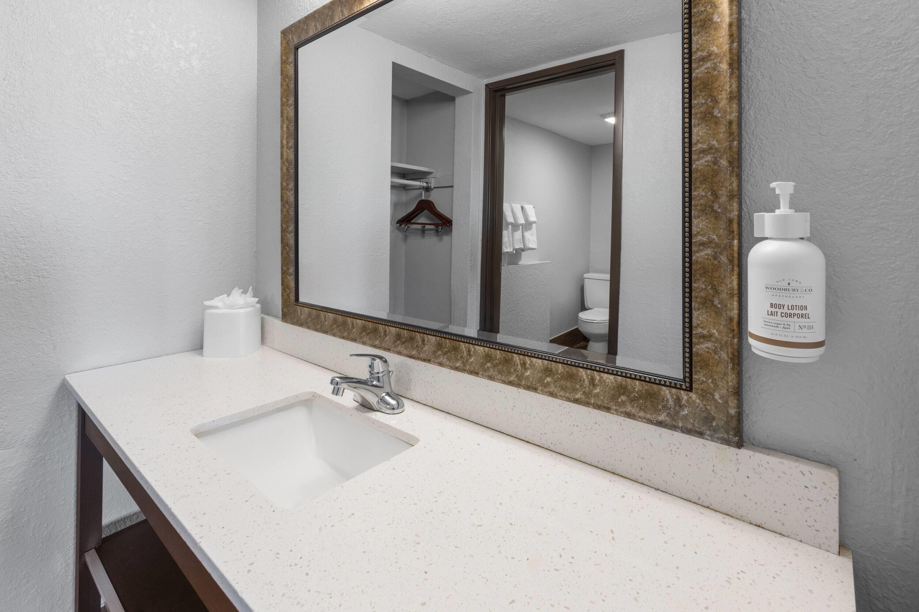 Une salle de bain avec un lavabo blanc, un miroir avec un cadre doré et un flacon de lotion pour le corps posé sur le mur.