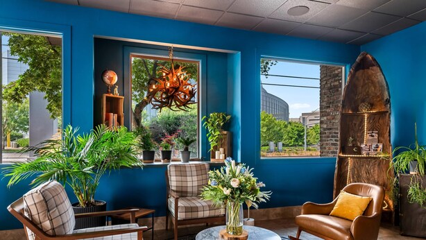 A room with blue walls, a globe, a chandelier, a surfboard shelf, and various plants. - Maverick Hotel Eugene Near University, an Ascend Collection Hotel (Eugene)