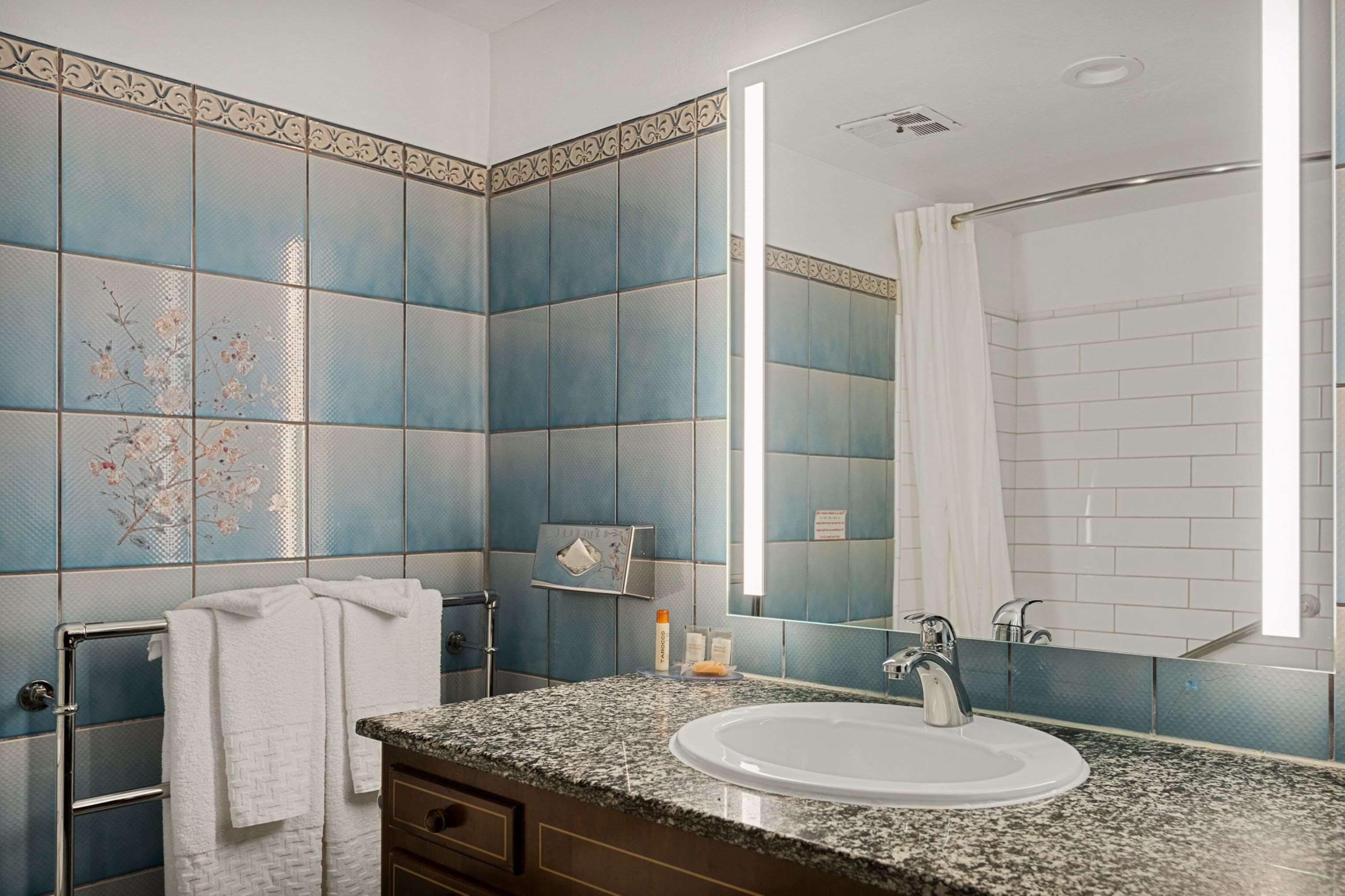 combined shower/bathtub, free toiletries, hair dryer, towels