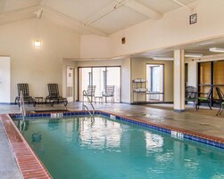 Indoor pool, sun loungers
