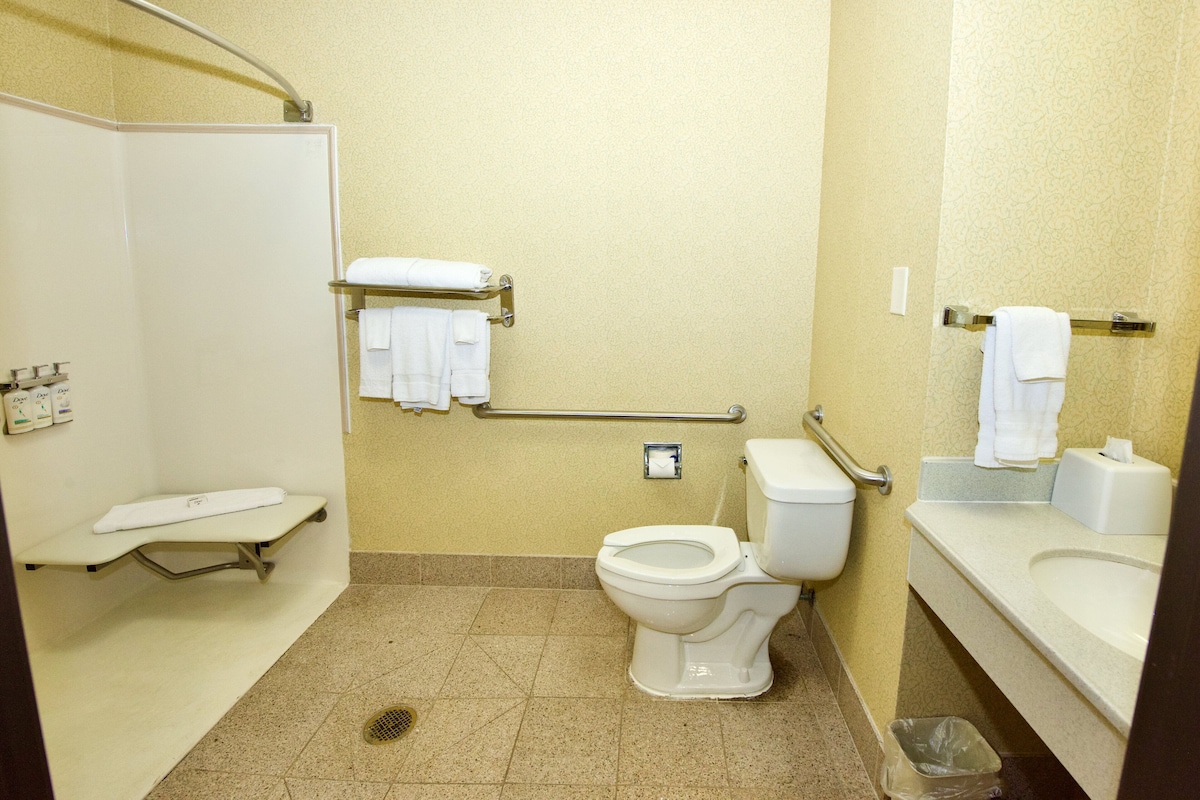 Standard Room, 1 Queen Bed, Accessible (Communications, Roll-In Shower) | In-room safe, desk, laptop workspace, iron/ironing board
