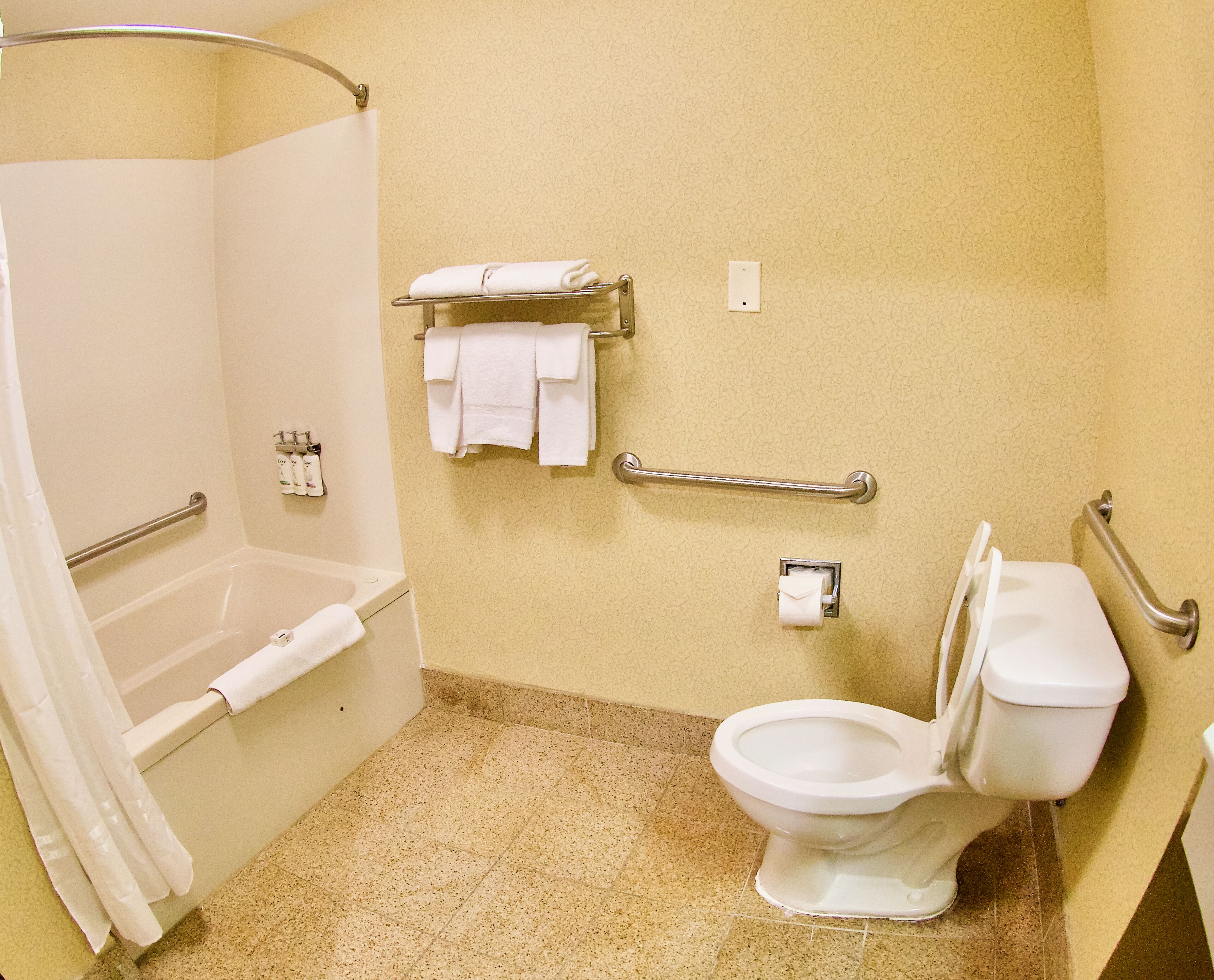 Et badeværelse med bruser, toilet, gelænder og et håndklædetørrestativ.