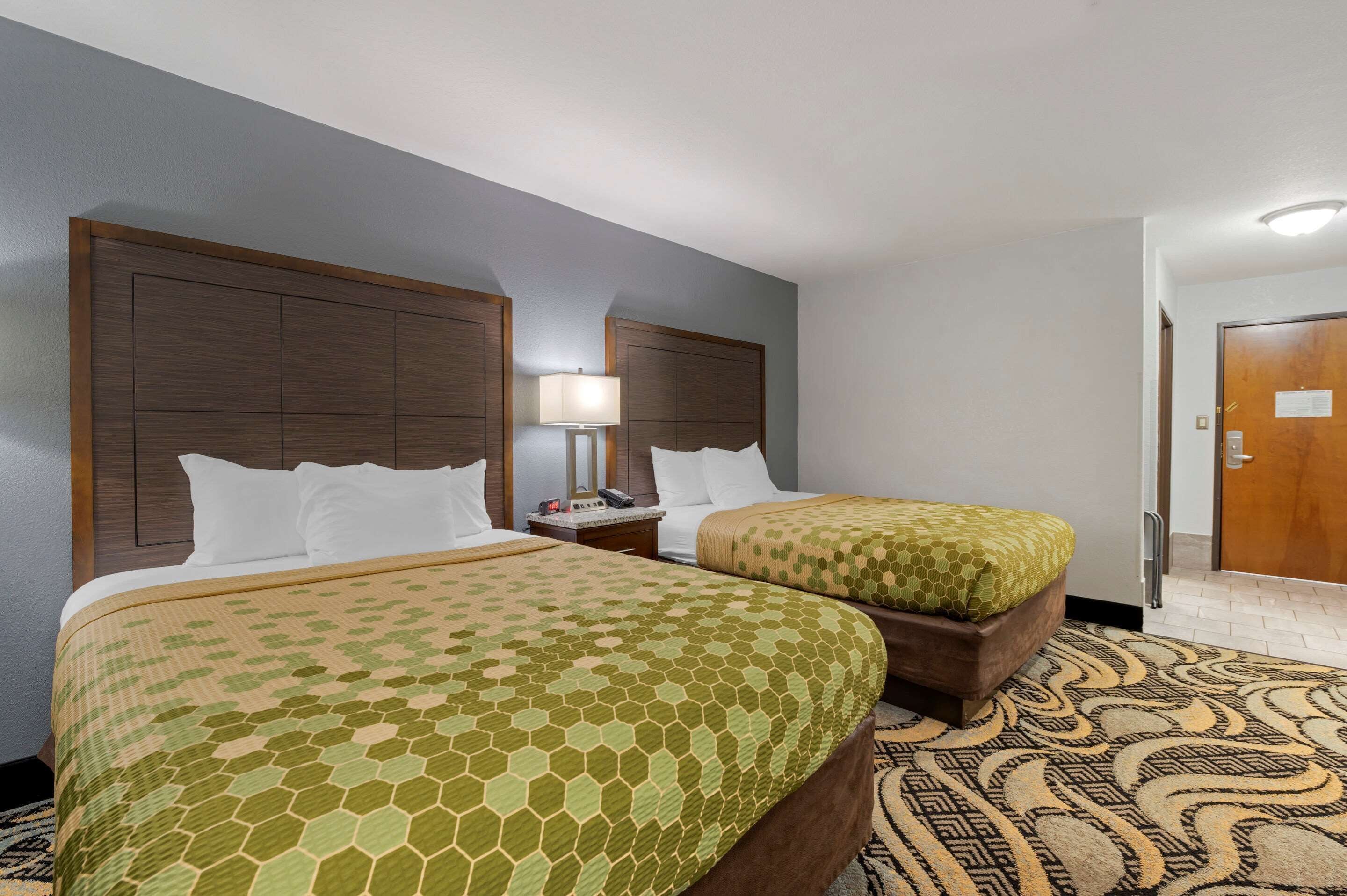 A hotel room with two beds, a nightstand with a lamp, and a patterned carpet.