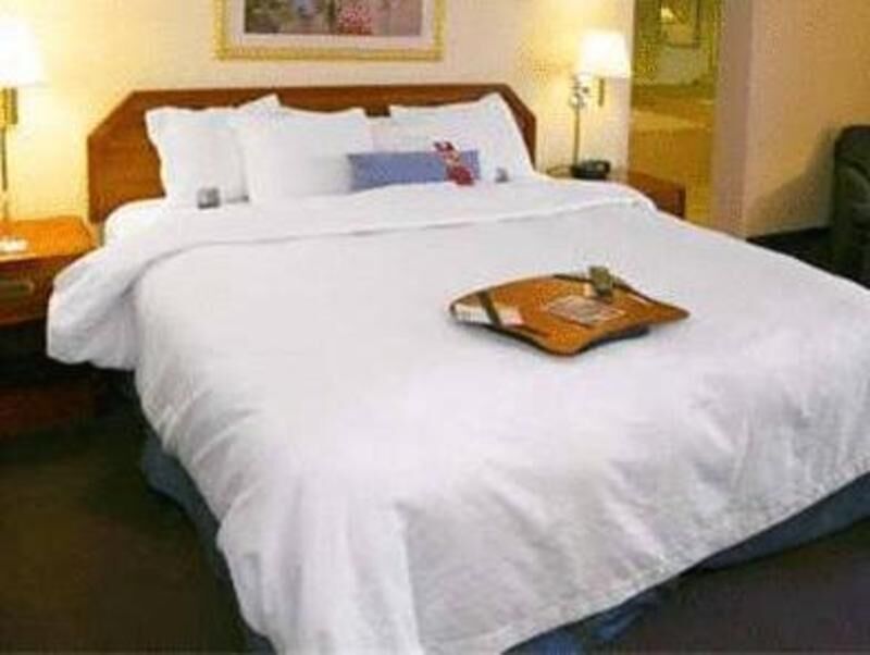 Egyptian cotton sheets, premium bedding, iron/ironing board, free WiFi