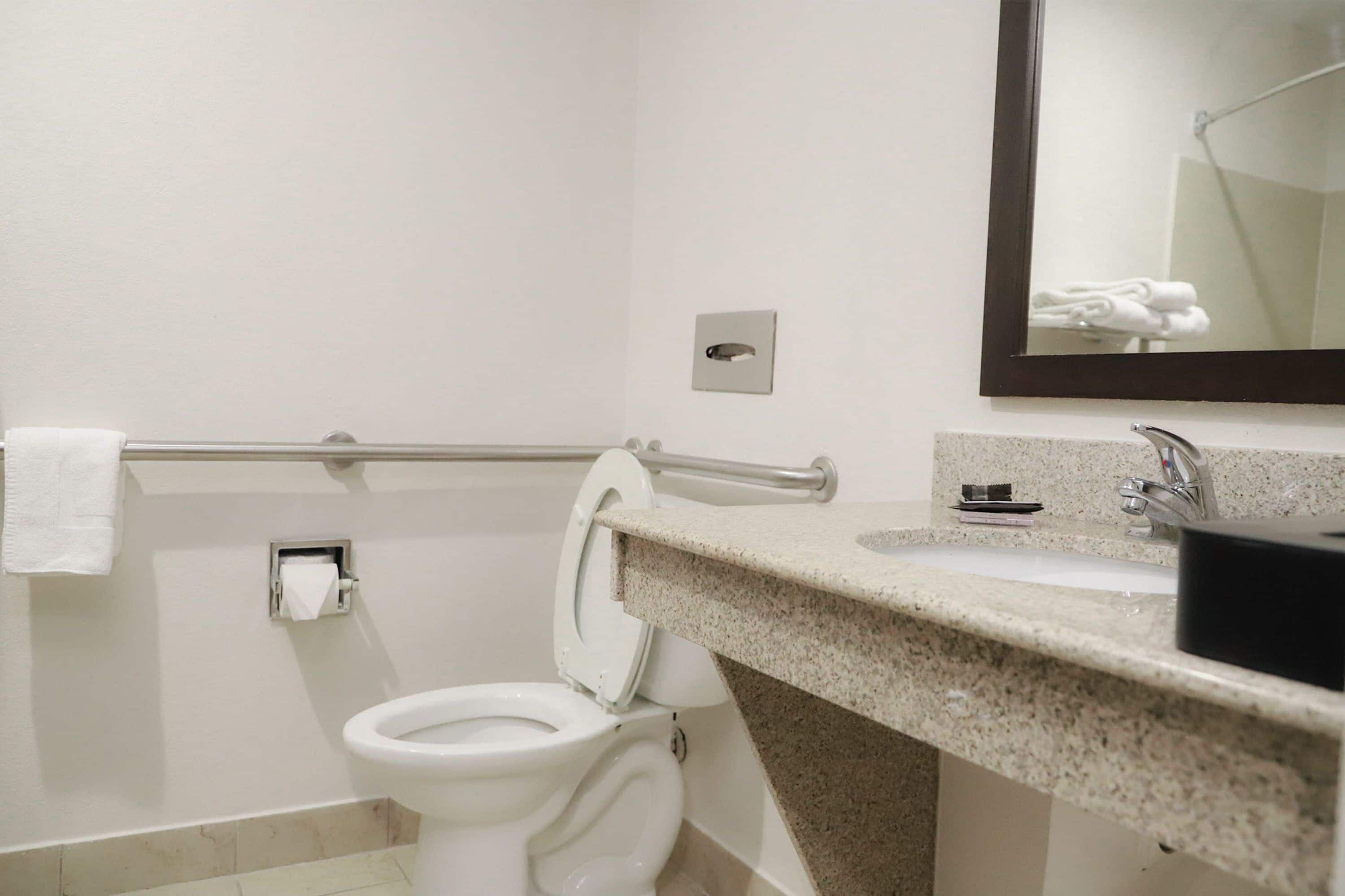 Un baño con inodoro, lavamanos, espejo y toallero.