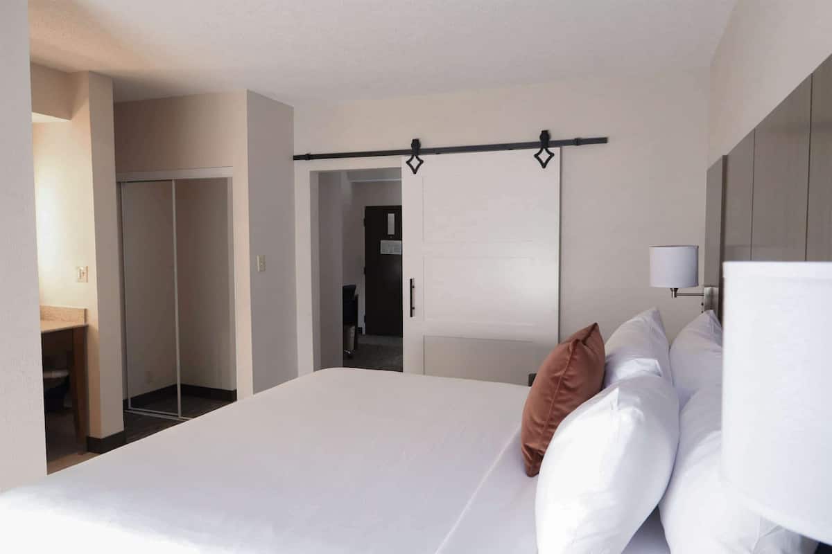 A modern hotel room with a large bed, a bedside lamp, a wardrobe, and a bathroom visible through an open door.
