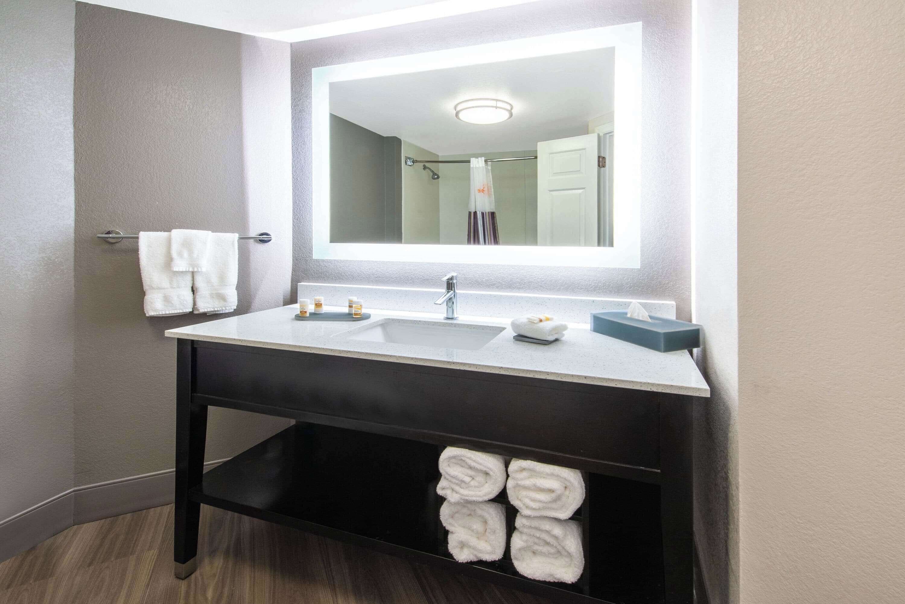 combined shower/bathtub, free toiletries, hair dryer, towels