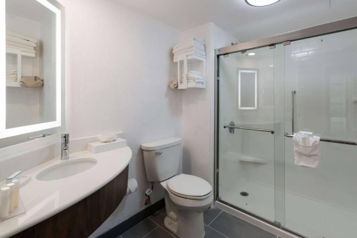 A modern bathroom with a glass shower enclosure, a white sink, and a toilet.