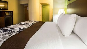 Habitación de hotel con cama, televisor de pantalla plana, microondas y refrigerador.