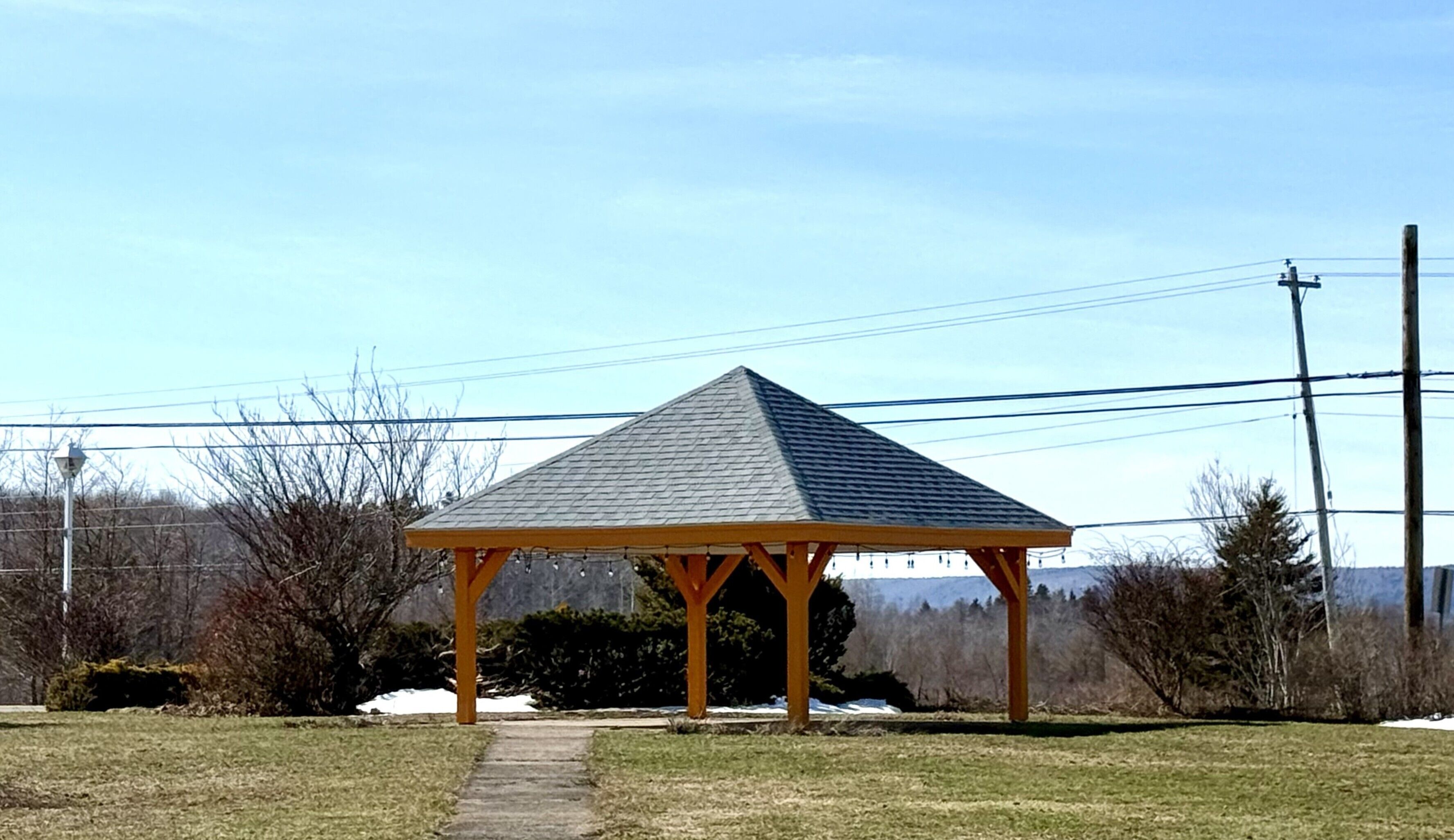 A wooden gazebo with a sloped roof in a grassy area.