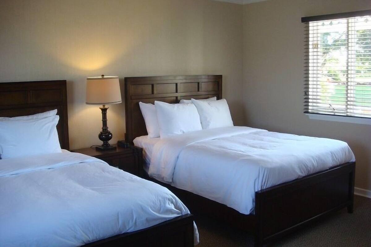 Una habitación de hotel con dos camas individuales, una mesita de noche con lámpara y una ventana con persianas.